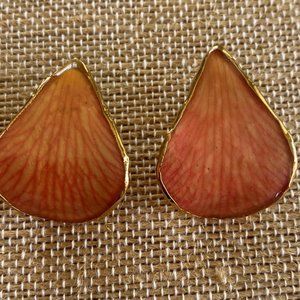 Real Orchid Flower Petal Earrings